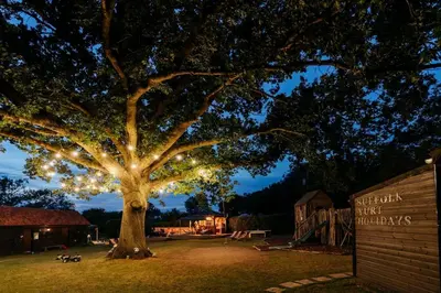 a large tree with christmas lights on it at Beautiful Cottage in Bredfield near to Woodbridge on the Suffolk Coast in Bredfield