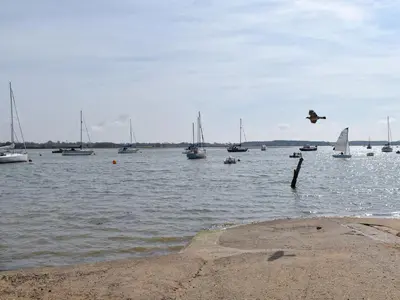 a bird flying over a body of water with boats at Quayside Cottage Uk33899 in Waldringfield