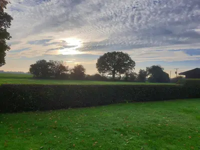 a sunset in a field with a hedge and trees at Cosy Rural Barn Conversion 5 Min Drive To Pin Mill 1 BR + sofa bed in Chelmondiston