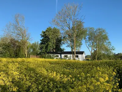 a house in the middle of a field of yellow flowers at 2 Bed in Stradbroke oc-wopl in Stradbroke