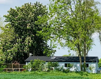 a small white house in a field with a tree at 2 Bed in Stradbroke oc-wopl in Stradbroke