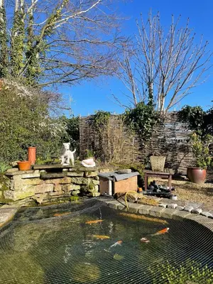 a koi pond with a cat sitting on top of it at The Millers Cottage in Cambridge