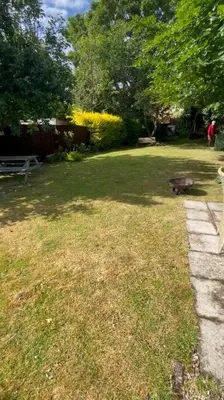 a backyard with a fire hydrant in the grass at Acacia Cottage in Halstead