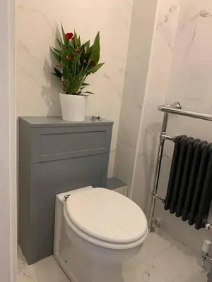 a bathroom with a toilet and a plant on a shelf at Bury St Edmunds - Apartment - Sleeps 2 - Parking in Bury Saint Edmunds