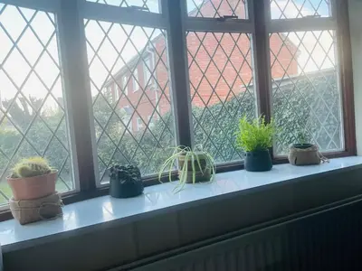 a window sill with potted plants sitting on it at Super King Bed Suite, Executive office, fast WiFi, free parking in St Ives