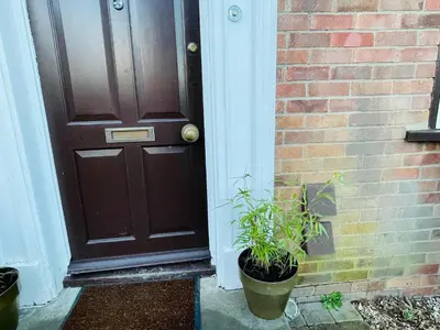 a brown door with a plant next to a brick wall at Super King Bed Suite, Executive office, fast WiFi, free parking in St Ives