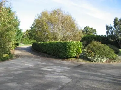 a street with a hedge on the side of a road at Clare House in Mundford