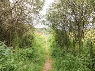 a dirt trail through a forest with trees at The Granary in Colchester