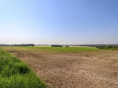 an empty field with grass and a dirt road at Rector's Retreat in Ipswich