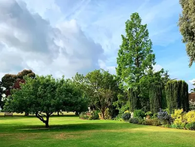a green lawn with a tree in the middle at Ye Olde Plough House in East Horndon