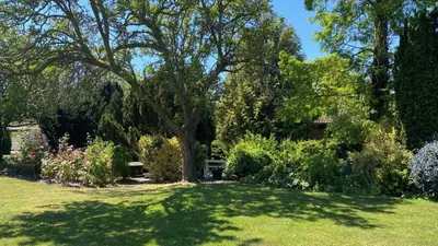 a shady yard with a tree and some bushes at Ye Olde Plough House in East Horndon