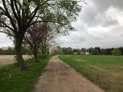 a dirt road next to a field with a tree at The Stables in Colchester