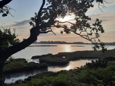 a sunset over a body of water with a tree at River View - Stunning estuary views in Aldeburgh