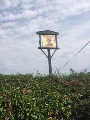 a street light with a sign on top of a bush at SkyFall in Grundisburgh