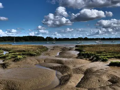 a beach with rocks and boats in the water at Rockhopper Cottage, Waldringfield in Woodbridge