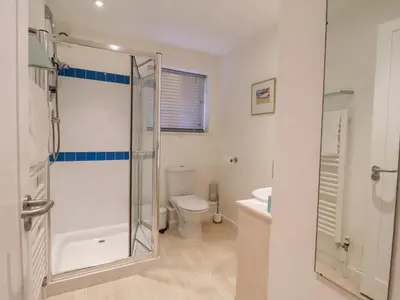 a bathroom with a shower and a toilet at Valley Farm Cottage in Woodbridge