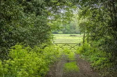a dirt road with a gate in a field at Well Green Cottage in Wenhaston