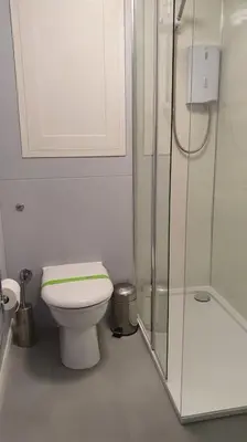 a white bathroom with a toilet and a shower at Self-contained annex with private entrance, double bed, kitchen, bathroom, free car park - Near Cambridge, Duxford Air Museum and Addenbrooke's Hospital in Cambridge
