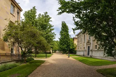 a road between two buildings with trees and grass at Downing College in Cambridge