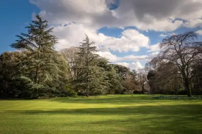 a large green field with two trees in a park at Downing College in Cambridge