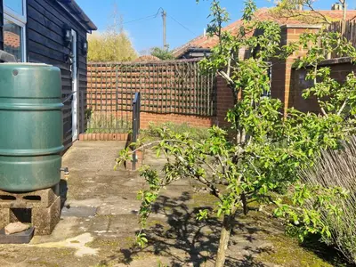 a tree in a yard next to a fence at Primroses, Wood Farm in Shipdham