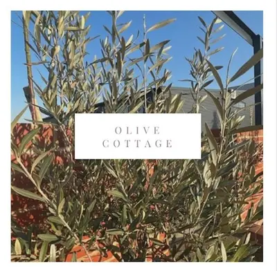 a bush with a sign that reads olive confidence at Withers Farm Apartments in Mount Bures