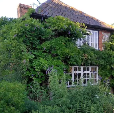 a house is covered in plants and flowers at The Mill B&B in Thetford