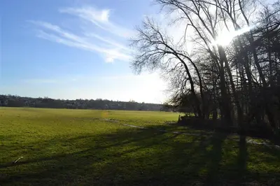 a tree in a field with the sun behind it at 2 Bed in Sudbury oc-clo in Sudbury