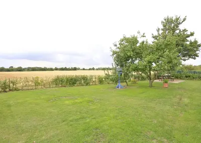 a field with a tree and a table in a field at 3 Bed in Belchamp Otten oc-2mf in Belchamp Otten