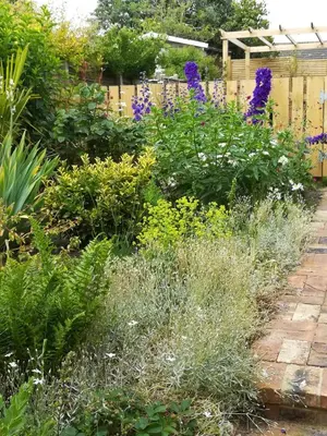 a garden with a variety of plants and flowers at 2 Bed in Orford oc-sfcto in Orford