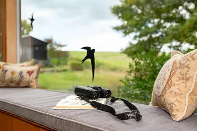 a camera and a book on a table with a window at 3 Bed in Bramfield oc-hglenv in Bramfield