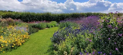 a garden with many different types of flowers at 2 Bed in Yoxford oc-hharro in Yoxford