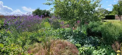 a garden with purple flowers and trees at 2 Bed in Yoxford oc-hharro in Yoxford