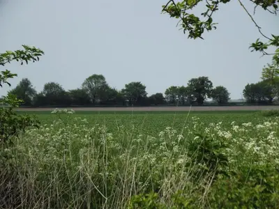 a field of grass with trees in the background at 2 Bed in Haughley oc-strb in Haughley
