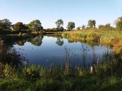 a view of a river with trees and grass at ROSE CHALET in Framlingham