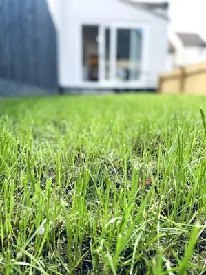 a field of green grass with a house in the background at 2 Bedroom Modern House in Cambridge city centre in Chesterton