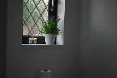 a window with two potted plants on a window sill at House on cul de sac in Lakenheath