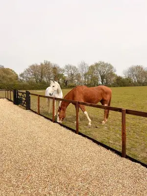 two horses are standing next to a fence at The Hayloft in Gestingthorpe